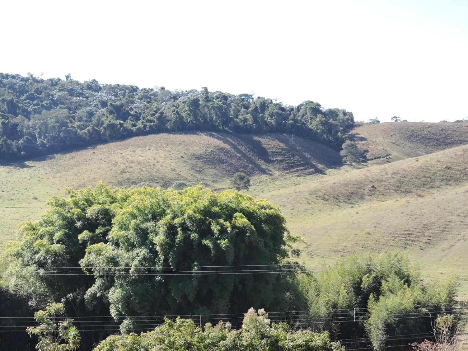 Pousada Vista Verde Cunha Værelse billede