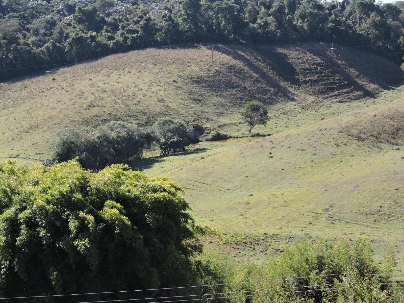 Pousada Vista Verde Cunha Værelse billede