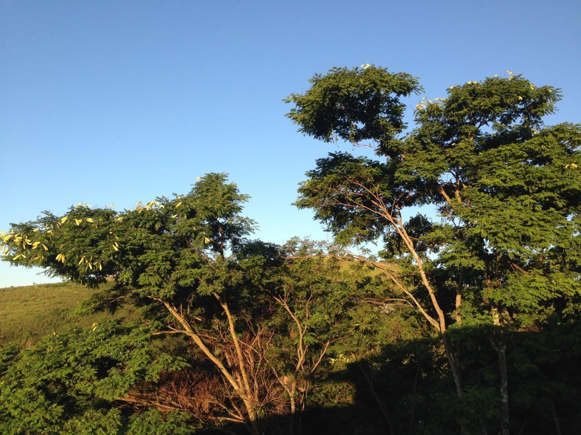 Pousada Vista Verde Cunha Værelse billede